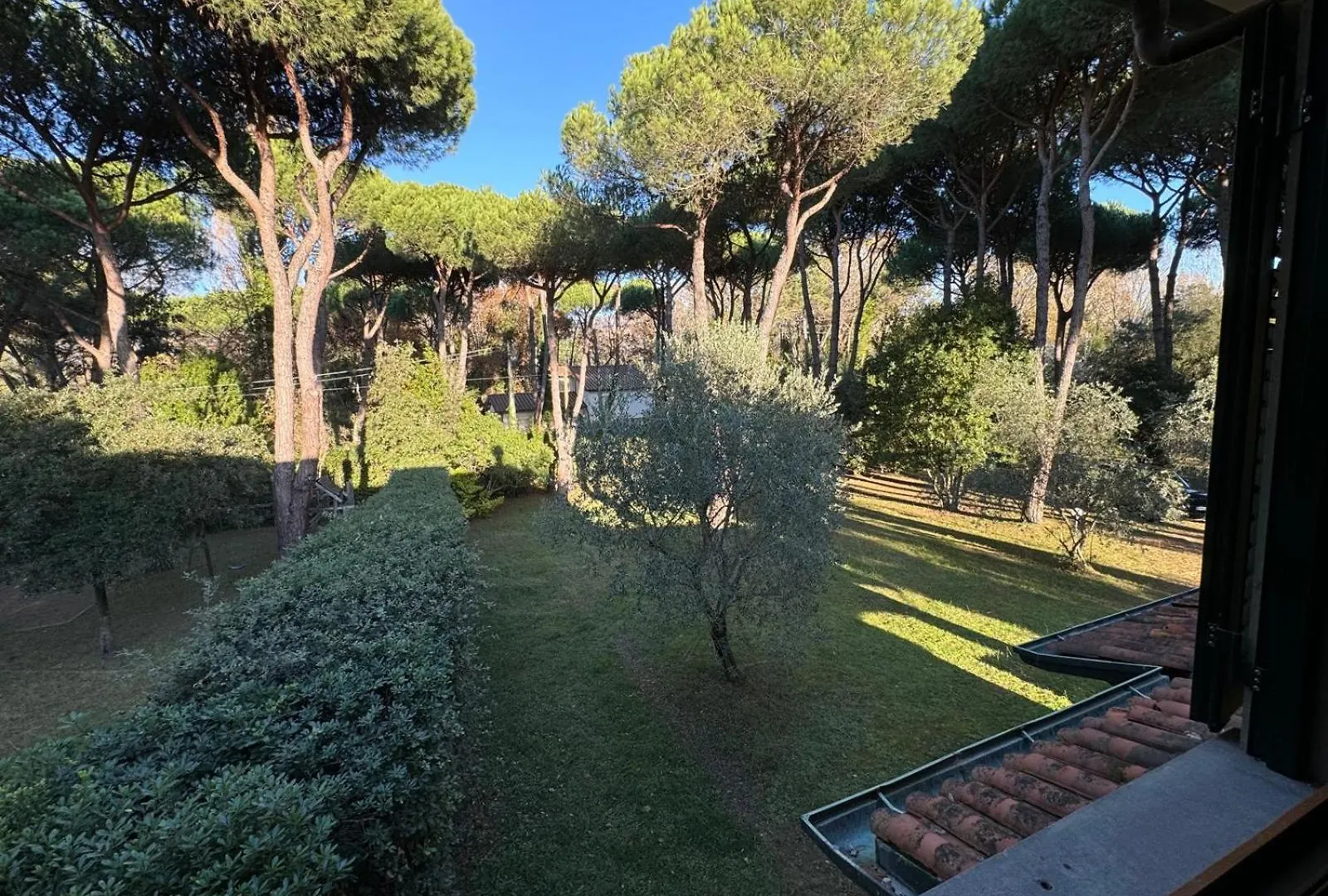 Villa Fortini Marina di Massa